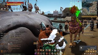 бдо где добыть морскую капусту