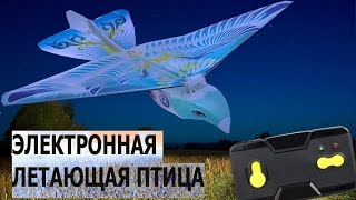 Электронная летающая птица Обзор + ПОЛЕТ Taibao Flapping Wing   RC LIFE