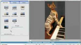 Бесплатный Photoshop от Google!