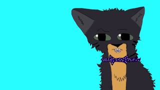 Warrior Cats Stereotypes Rant