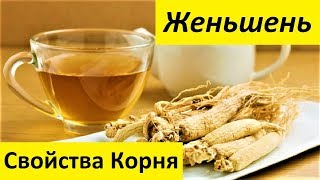 Женьшень, Корень Женьшеня, Свойства Женьшеня