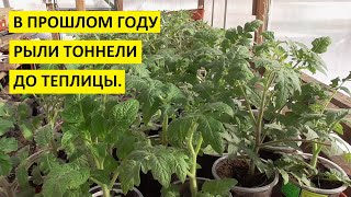 Обзор огорода в Сибири сегодня, 11 марта, и ровно год назад.