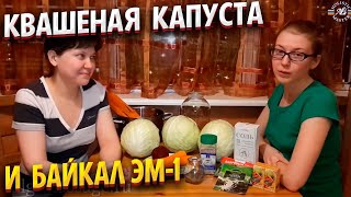 Витаминный вопрос. Квашенная капуста и Байкал ЭМ-1