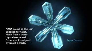 Revolutionary New Discoveries about Water! - Interview with David Sereda - Full