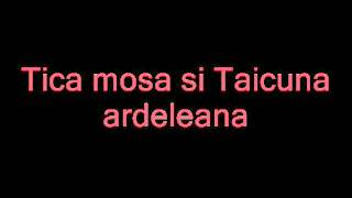 Tica Mosa ardeleana 1