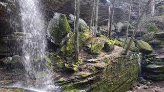 Ferne Clyffe State Park Highlights