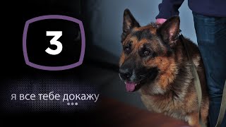 Сериал Я все тебе докажу: Серия 3 | ДЕТЕКТИВ 2020