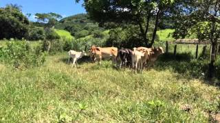Divisa Nova - Sul de minas - Brasil