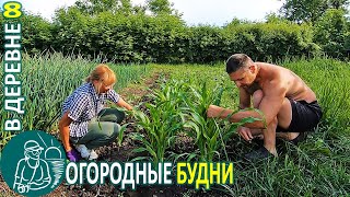 Огородные будни ???? Чесночные стрелки и рецепты Мульчирование Жизнь Гордеевых в деревне - Влог 8
