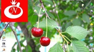 Как изменить заставку (обои) на экране компьютера, на рабочем столе?