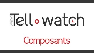 Tell Watch - Composants