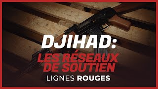Xavier Raufer: l’État islamique a pu «être récupéré, sinon influencé»