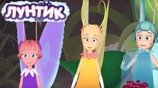 Лунтик | Валентинки и сердечки ❤??? Сборник мультфильмов для детей к дню святого Валентина