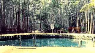 Lugar de Maravillas PROGRESO, YUCATÁN