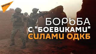 Учения в Таджикистане: силы ОДКБ уничтожили прорвавшихся к границе "боевиков"