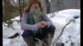 Сказ о Соловье, первом инспекторе ДПС на Руси.