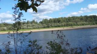 для папы Аникино Старчевская