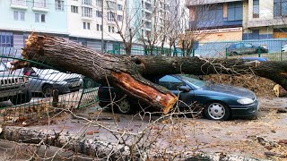 The weather has gone crazy in Russia! Gusts of wind topple trees, sweeps away roofs!