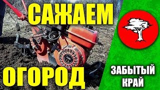 Сажаем огород // плуг окучник для мотоблока и фрезы