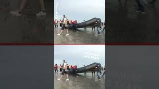 Migrants PEPPER SPRAYED Crossing Channel