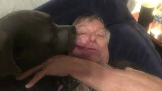 Face Lick