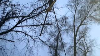 Странное поведение птиц А через час случилось землетрясение 15 03 2015