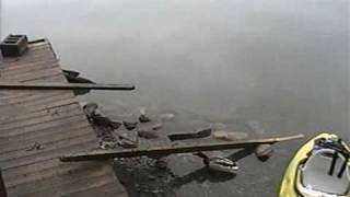 Mallards eating Zebra Mussels