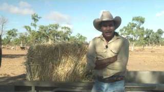 KIMSS: Kimberley Cattlemen Part 1
