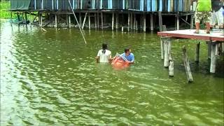 Capture of Giant 360lb Arapaima by John and Todd