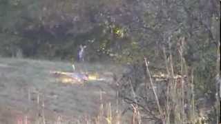 Hunting with Uncle Buck