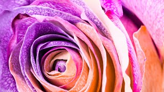 Enhance Self Healing Energy - 528Hz Positive Energy - Detox Frequency - Deep Healing Music