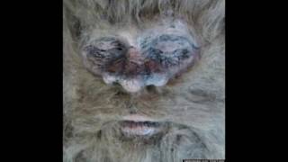 New Dead Bigfoot Photos From Hunter Rick Dyer