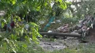 Decomposing corpses on a streets in Russia after flooding in Krimsk City