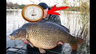 С 1644 ГОДА ЭТО НАСТОЯЩИЙ ПРЕДСКАЗАТЕЛЬ КЛЁВА ТОЛЬКО В МЕЧТАХ, НАЗВАНИЕ ЕГО БАРОМЕТР!