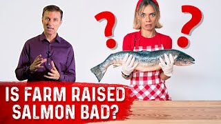 Could Farm Raised Salmon Make You Fat?