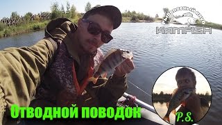Окунь на отводной поводок. Kamfish