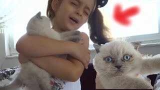 SAKIZ VE MİNEL ANLAŞABİLİYORLAR MI? | SAKIZ BÜYÜYOR
