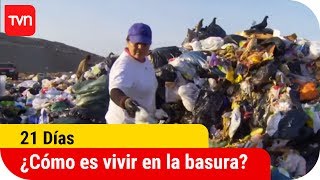¿Cómo es vivir y trabajar en la basura? | 21 días | Buenos días a todos