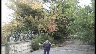 Голуби среднеазиатские двухчубые бойные игровые