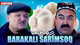 Qalpoq - Barakali sarimsoq (anons)