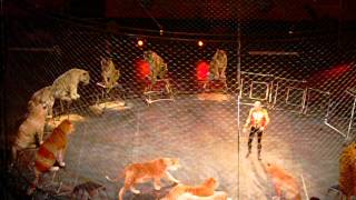 Circus Lion Tamer