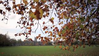 Autumn