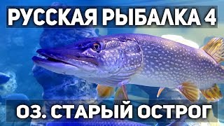 Русская рыбалка 4. В 18.00 мск тур триада оз Ст.Острог!1 место-фид Coldstream FM130H(36КГ)-2370 серы
