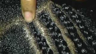 Cornrows (with knot-less extensions) #9of9