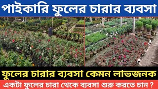 ফুলের নার্সারি || পাইকারি ফুলের চারা উৎপাদন নতুন গল্প