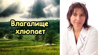 Влагалище хлюпает во время секса