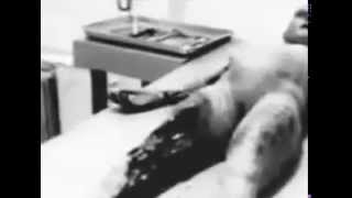 Dr Jesse Marcel Jr who claimed to have handled alien debris from Roswell crash dies reading a book