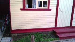 Безответная любовь (Unrequited love)