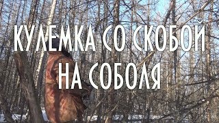 КУЛЕМКА СО СКОБОЙ НА СОБОЛЯ | Ловушки на соболя и куницу | ДОБЫЧА ПУШНИНЫ
