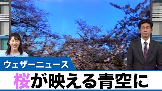 広範囲で晴れ 桜が青空によく映えそう